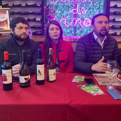 Punto de Prensa Evento de Celebración del Día Nacional del vino en Portezuelo